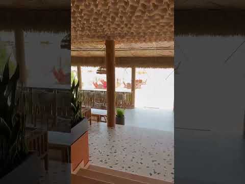 Synthetic Straw Thatch Roof