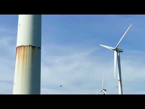 WRC RALLY ITALIA SARDEGNA 2023   ERULA