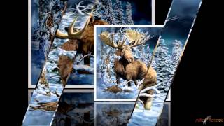 Polished Chrome A Little Something and Secret Of Sound