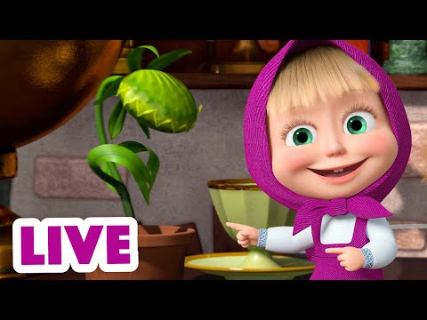 🔴 LIVE STREAM 🎬 Masha and the Bear 🥧🍗 What's for dinner? 🥧🍗