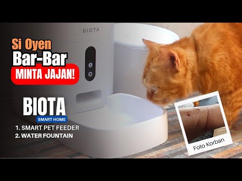 Oyen the Barbarian Wants a Snack! Automatic Cat Feeder - BIOTA Smart Home