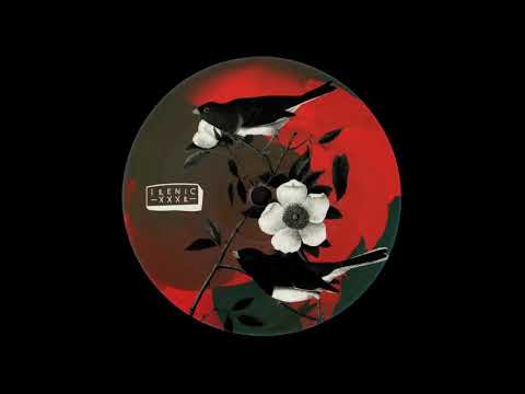 A. Roger Gerressen - Faithfull (Bluetrain Remix) [IRENICXXXR]