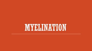 Anatomy & Physiology - Myelination