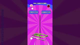 QUAL É A COBRA#cobra  #quiz  #divertido  #viral_video