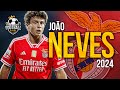 João Neves 2024 - Amazing Skills, Assists & Goals | HD