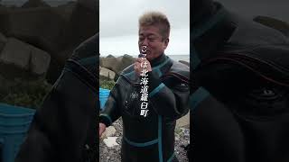 レベチ！昆布体験コブスティ、ホリエモン、羅臼の海を潜る