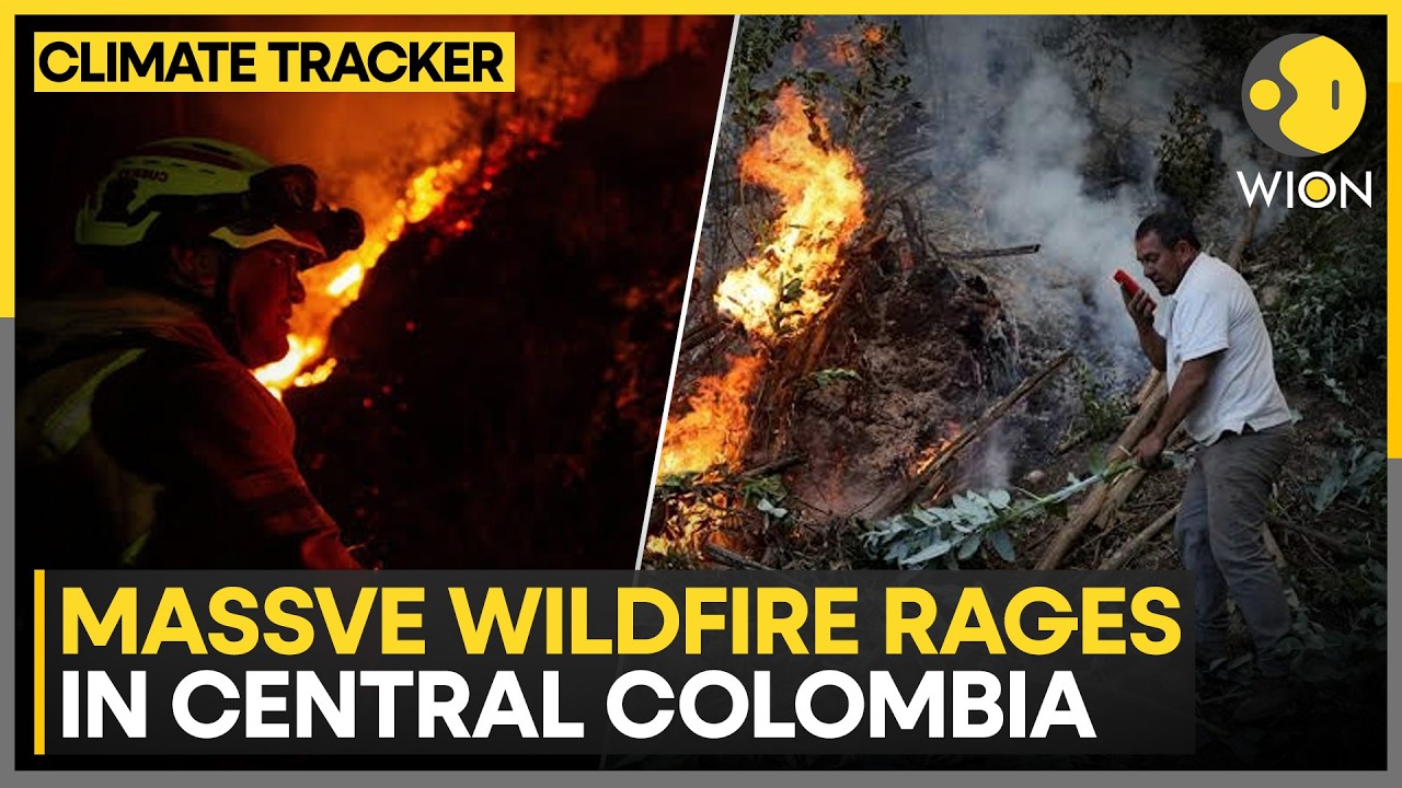 Colombia Wildfire: State Of Emergency Declared, Red Alert Issued As Flames Rage | WION