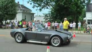 preview picture of video 'London Cobra Show 2010'