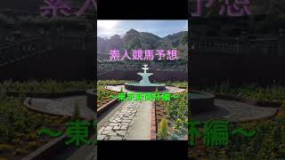 素人競馬予想　東京新聞杯(G3)編