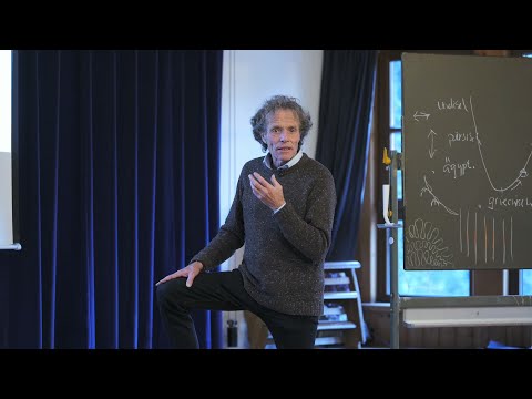 Dr. Johannes Wirz | Koexistenz von Biene und Milbe ermöglichen | 2026 | Dottenfelderhof