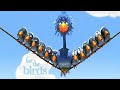 For The Birds 2000 Short Film Pixar