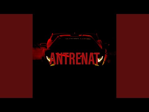 Antrenat (feat. Spectru)