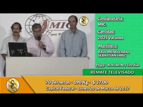 20-03 -17 - Venta de Invernada - Remate Televisado del MIC