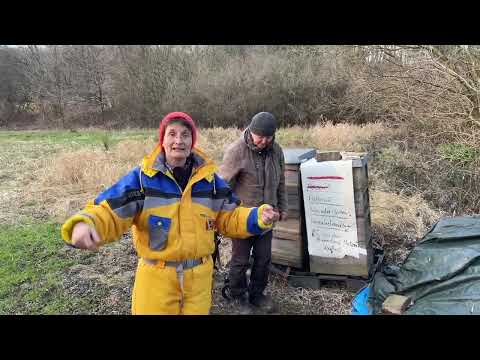 Live von Pias Bienenstand - 19.02.2025