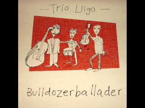 Trio Lligo - Moona