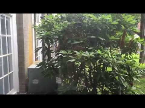 Scenic Montgomery Hydraulic Elevator (to Lower Level) @ Cordage Commerce Center, Plymouth MA