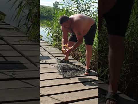 A doua captura de la Brateni