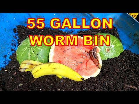 HOW MUCH CAN THE 55 GALLON BIN EAT?
