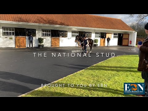 , title : '🐴 National Stud Stallions 2022'