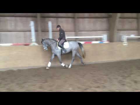 Cascadello I — Carry