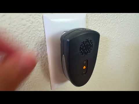 Pest Repeller Setup & Demo 🕷️ See How These Plug-Ins Work Indoors!