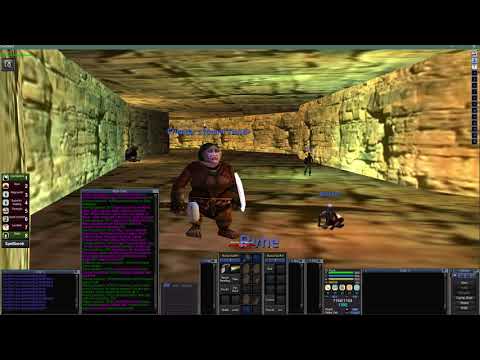 Everquest Project 1999 Project Shaman Guide