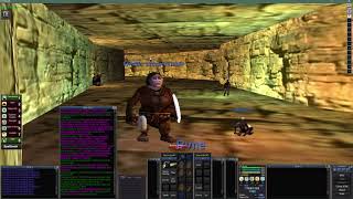 Everquest Project 1999 - Project Shaman Guide
