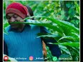 Ambili Whatsapp Status ENTE NENJAKE NEEYALLE