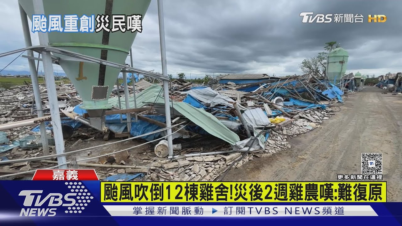 颱風吹倒12棟雞舍! 災後2週嘉義雞農嘆:難復原