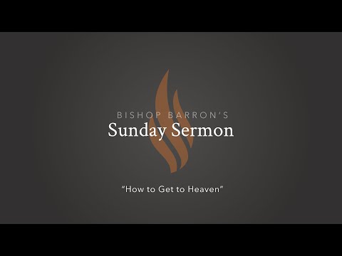 How to Get to Heaven — Bishop Barron’s Sunday Sermon