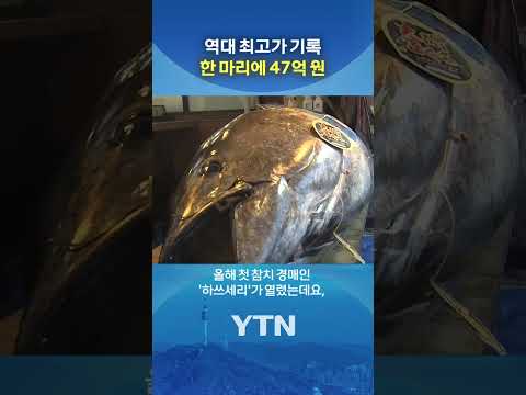 한 마리 가격이 무려... #shorts / YTN