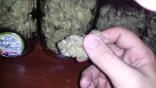 How To Cure Your Cannabis Harvest