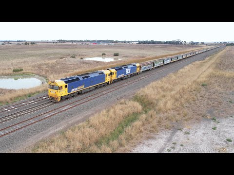 7736V Pacific National Grain Train With BL32 & BL30 (14/4/2022) - PoathTV Australian Railways