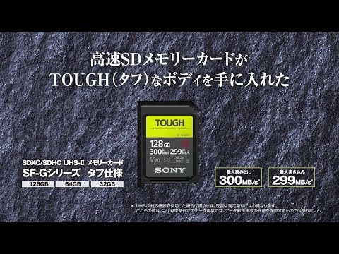 SDXCカード TOUGH（タフ）SF-Gシリーズ SF-G128T [Class10 /128GB 