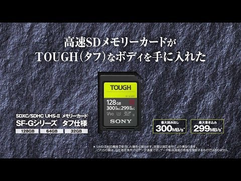 SONY TOUGH SF-G64T  64GB SDカード 国内正規品