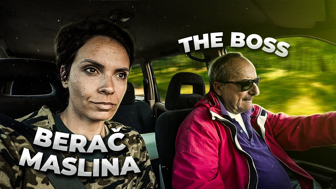 PRIČA O MASLINAMA DIDE IVANA