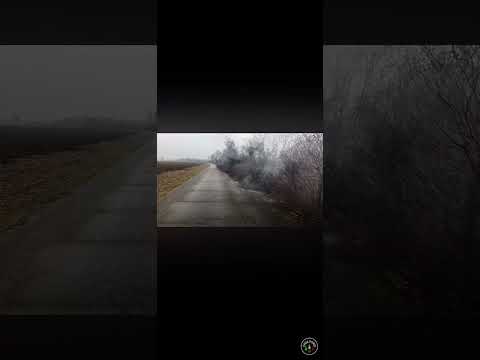 Petardo New Rambo 40gr NEC #fireworks #petardi #pyro #botti #capodanno #firecracker