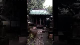 【実は東京】猫が居座る神社#shorts