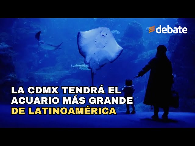 Actualidad - Así es el Acuario Michin en Parque Tepeyac, el MÁS GRANDE ...