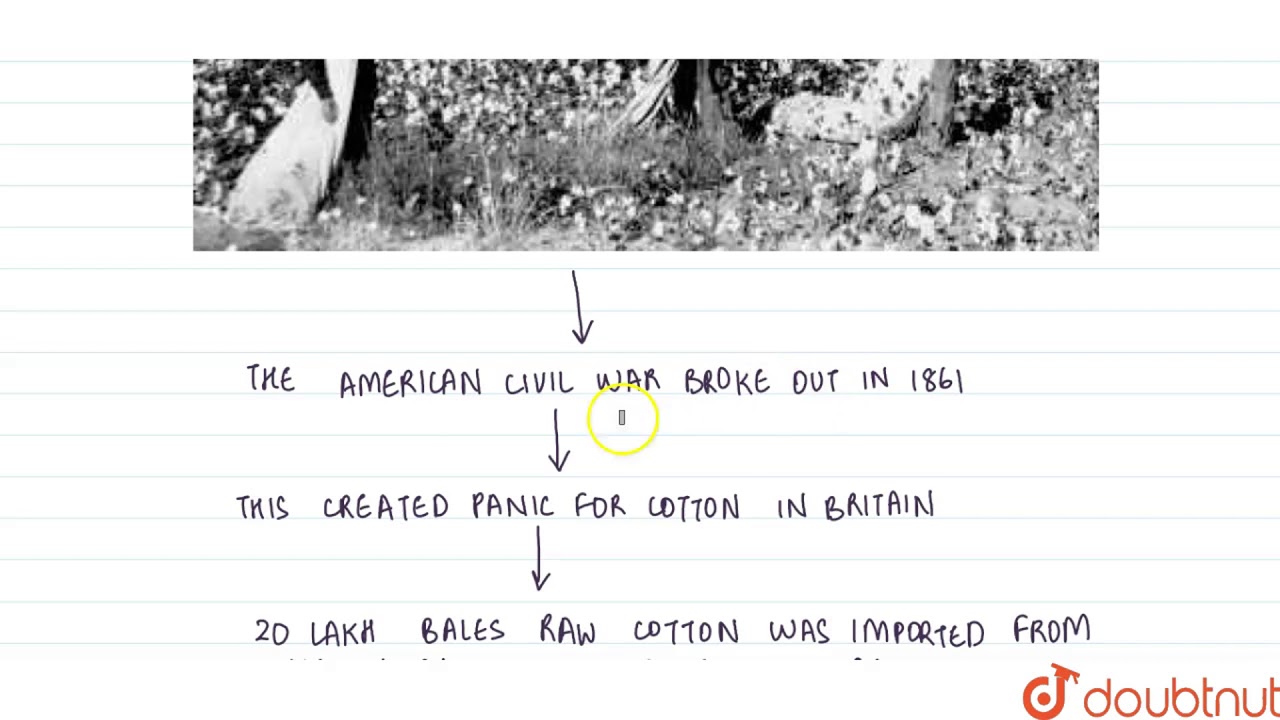 THEN CAME THE COTTON BOOM
