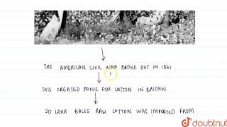 THEN CAME THE COTTON BOOM