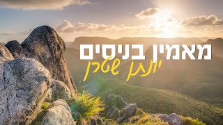 יעקב שוואקי - מאמין בניסים - Yaakov Shwekey Ma'amim benisim (קאבר אקפלה) - התמונה מוצגת ישירות מתוך אתר האינטרנט יוטיוב. זכויות היוצרים בתמונה שייכות ליוצרה. קישור קרדיט למקור התוכן נמצא בתוך דף הסרטון יעקב שוואקי - מאמין בניסים - Yaakov Shwekey Ma'amim benisim (קאבר אקפלה) - התמונה מוצגת ישירות מתוך אתר האינטרנט יוטיוב. זכויות היוצרים בתמונה שייכות ליוצרה. קישור קרדיט למקור התוכן נמצא בתוך דף הסרטון