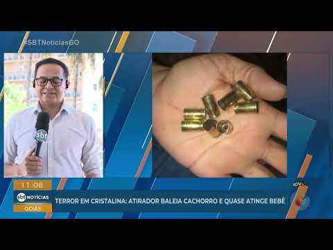Terror em Cristalina! Atirador baleia cachorro e quase atinge bebê