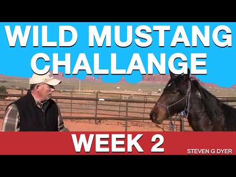 Wild Mustang Challenge Week 2 Extreme Mustang Makeover 2017 (Pt. 2 of 14)