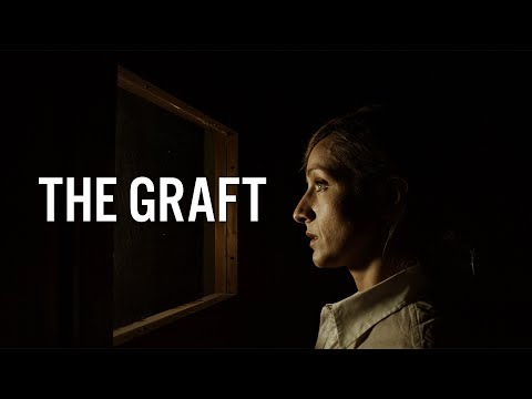 Kaosun Anatomisi (2025)