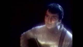 The Orchids - Something for the Longing