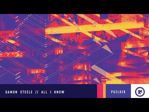 Damon Steele - All I Know [PUZL Records]