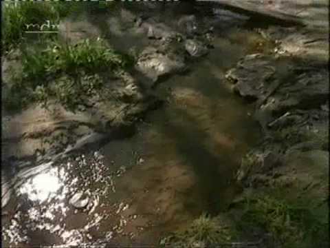 Teil 5 Bau Erdgastrasse Russland www.trassendatenbank.de