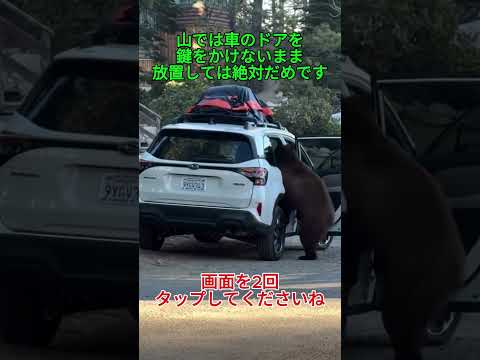 山では車のドアを鍵をかけないまま放置しては絶対だめです