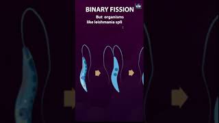 How Do Organisms Reproduce | A sexual reproduction |  CBSE Class 10 Biology Chapter 7 | NCERT